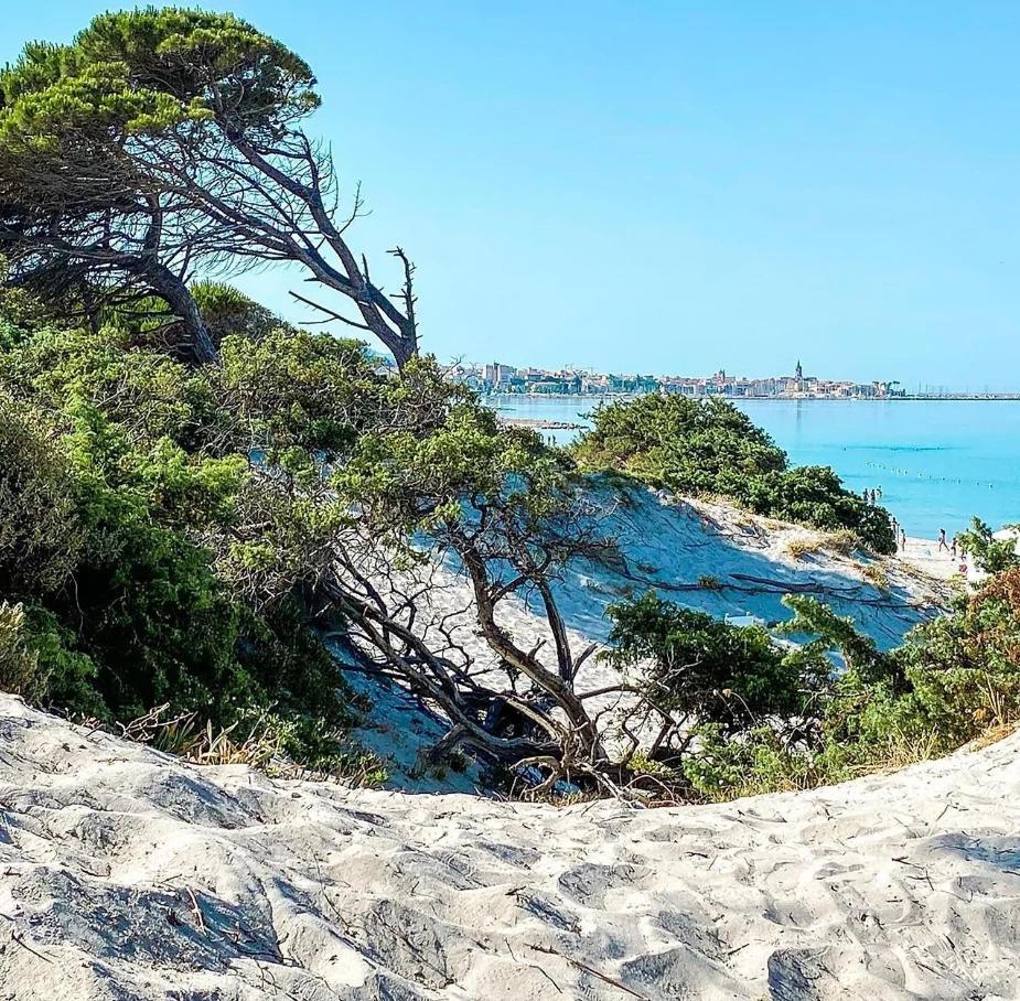 C1 C2 C3 Alghero